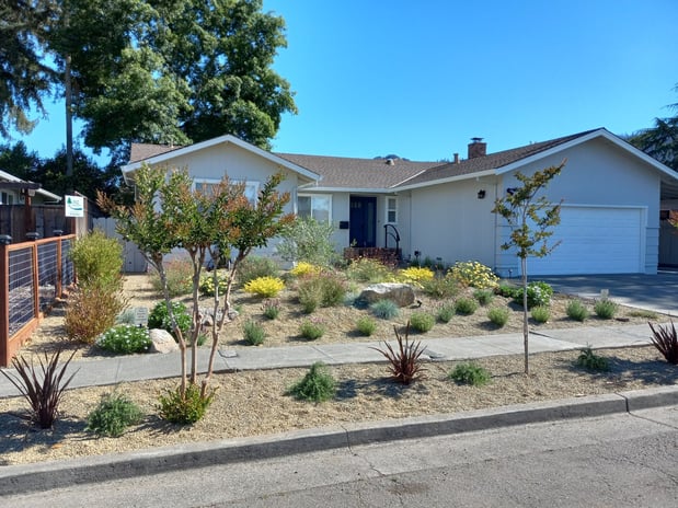 Images Paz Landscape