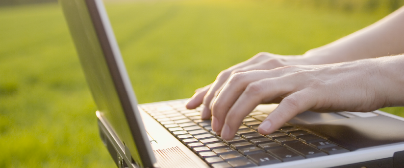 Bild 1 von Wolfgang Höhn