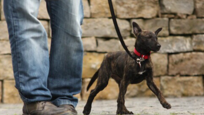 Instinkt Management, Eichener Straße 38 in Kreuztal