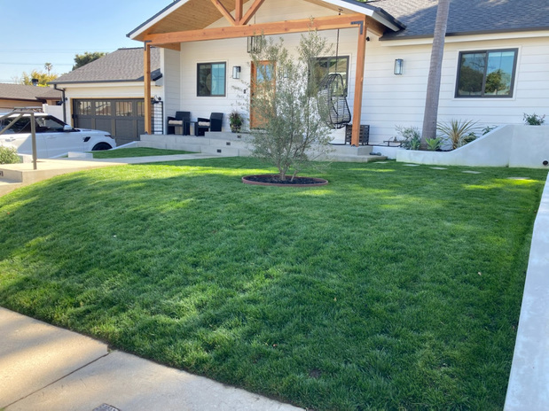 Images Green Control Landscape and Tree Service