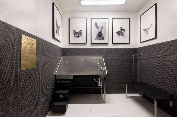 Images The Marc Apartments