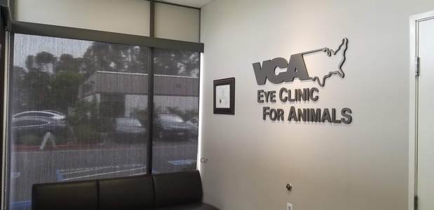 Images VCA Eye Clinic for Animals