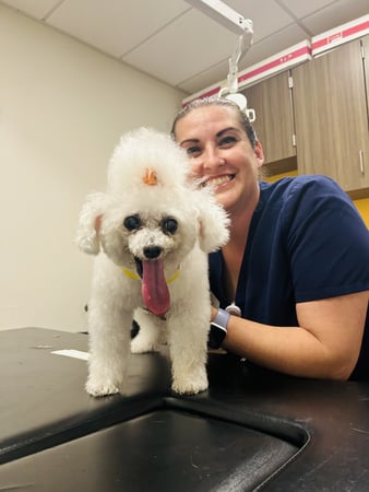 Images VCA West Los Angeles Animal Hospital