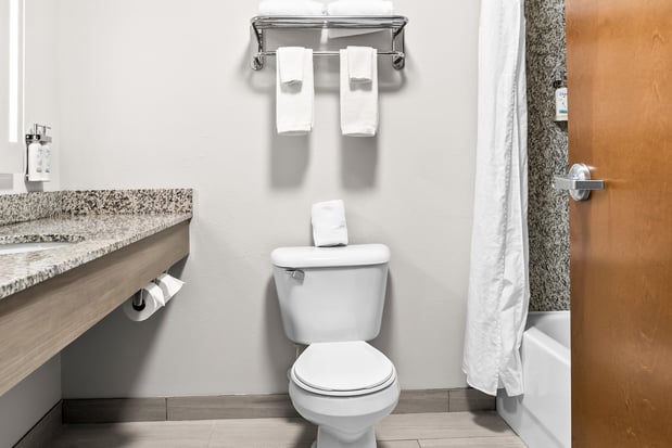 Images Holiday Inn Express & Suites Detroit-Novi by IHG