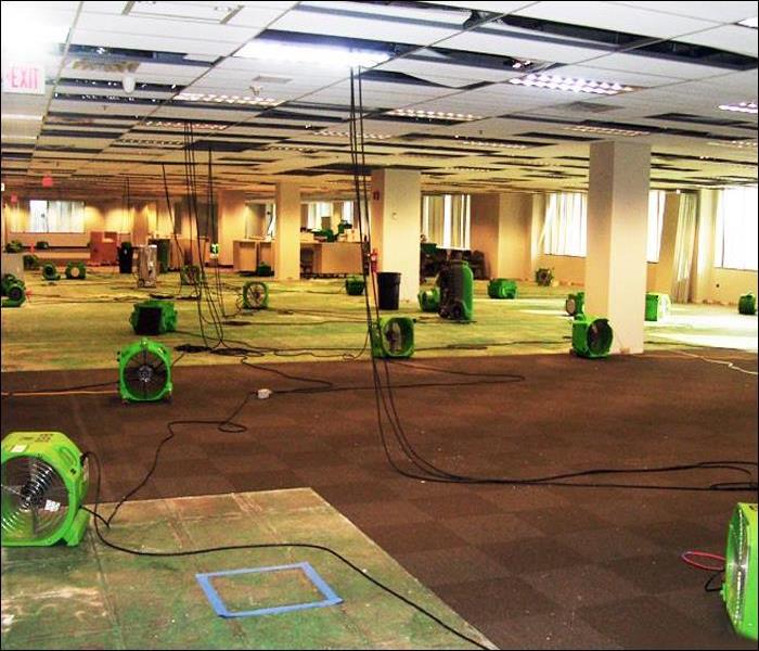 Dry-out to Prevent Mold Growth in Commercial Office Space after Water Damage, Sussex County, NJ