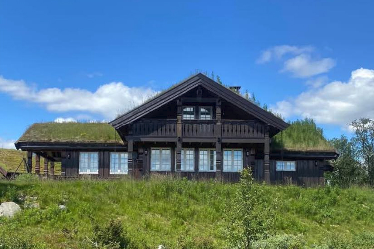 Images Aehealth - Anneche Enerhaugen