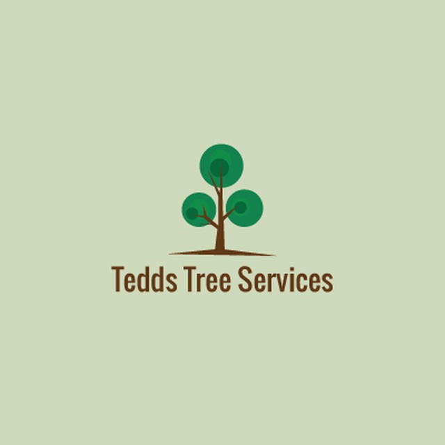 Tedds Tree Services Peterborough 01733 223964