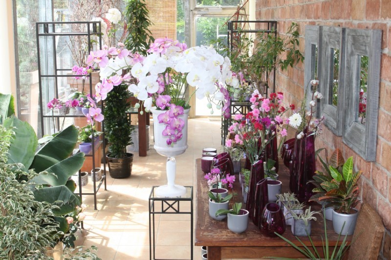 Gartencenter Jedlersdorf - Ing. Josef Hübel, Jedlersdorfer Straße 141 in Wien