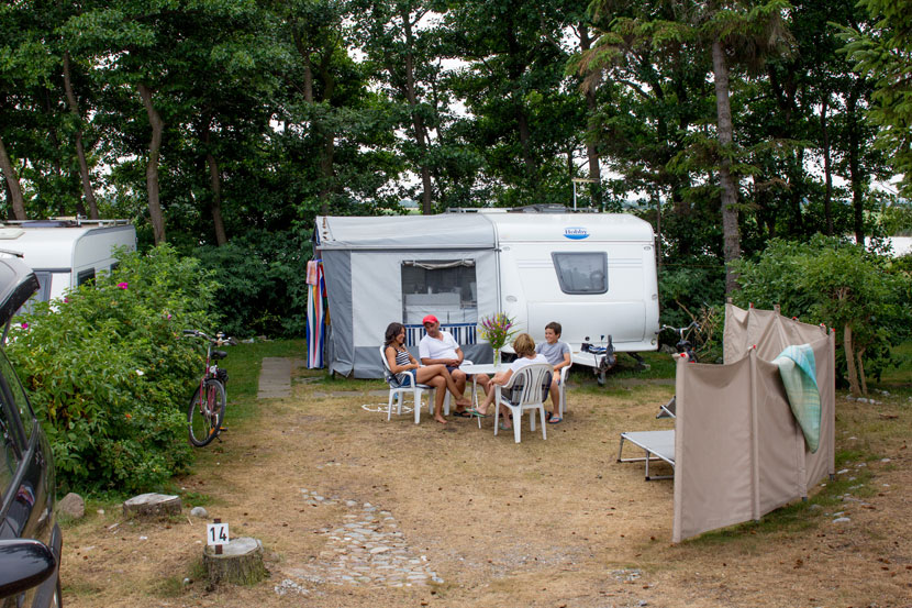 Bild 2 Camping am Deich - Hans-Georg und Christa Hinz in Fehmarn