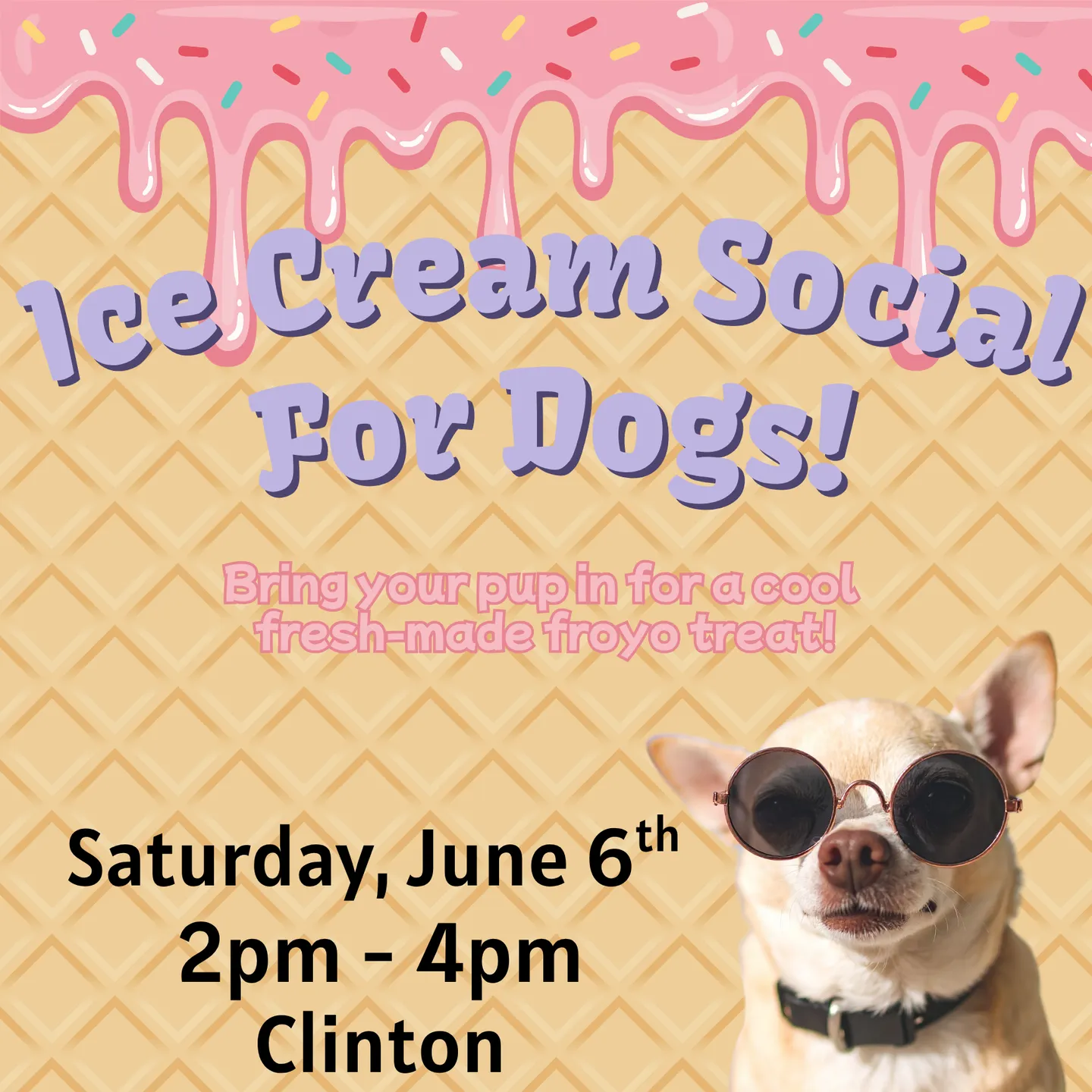 Image of Local Pet Event Doggie Ice Cream Social Nearby