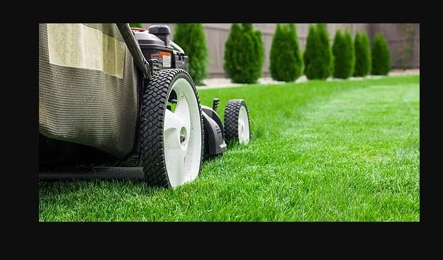 Landscape Designer in QC Dollard-des-Ormeaux H9H 4A7 4seasons Landscape 4460 boul Saint-Jean (514)626-3778