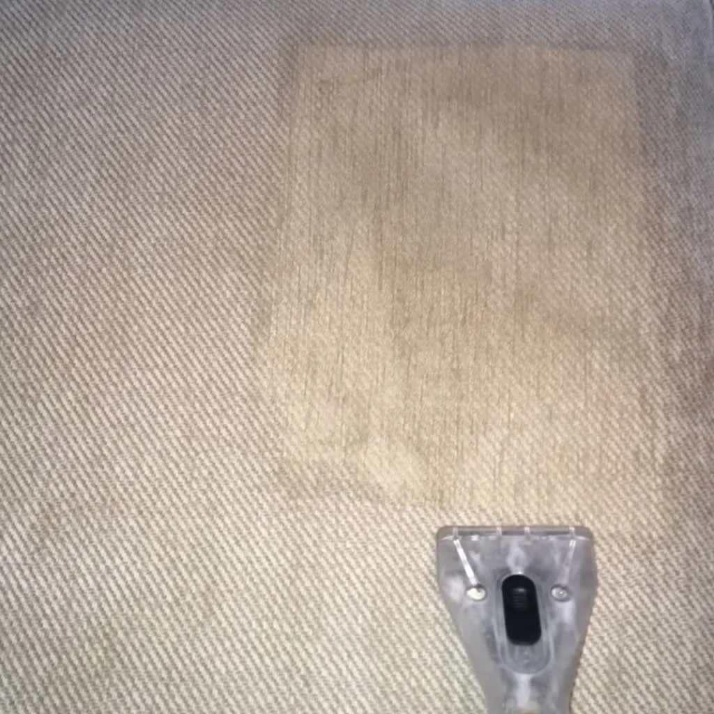 Images Titanium Cleaning