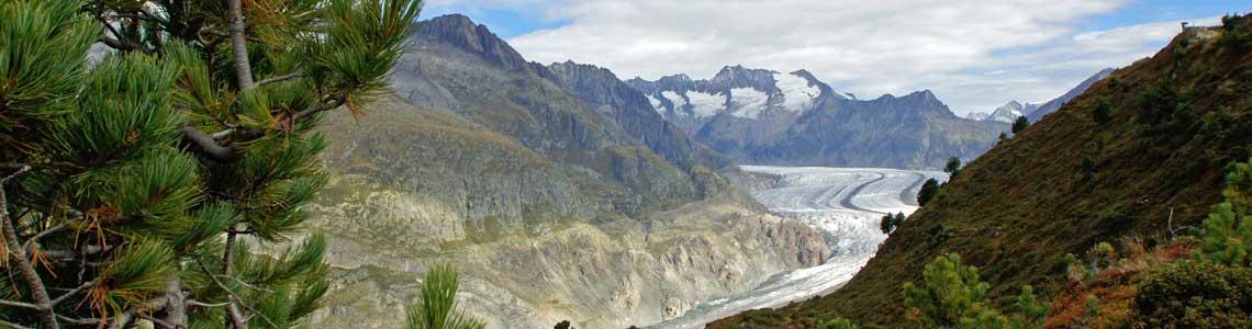 Imhof Transporte, Chalet Tamara in Bettmeralp