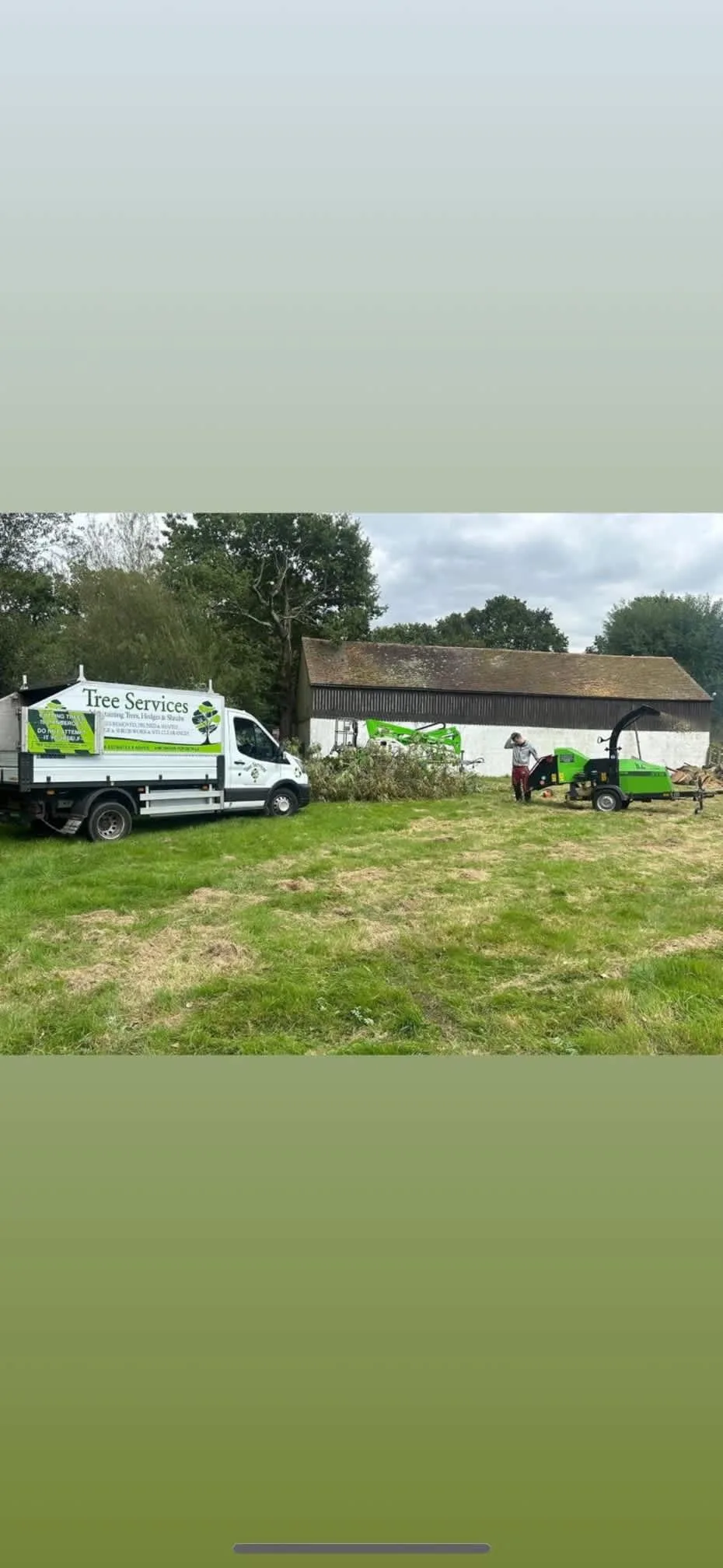 Images Arborist Tree Surgeons