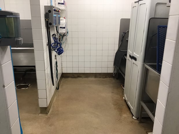 Images Petco