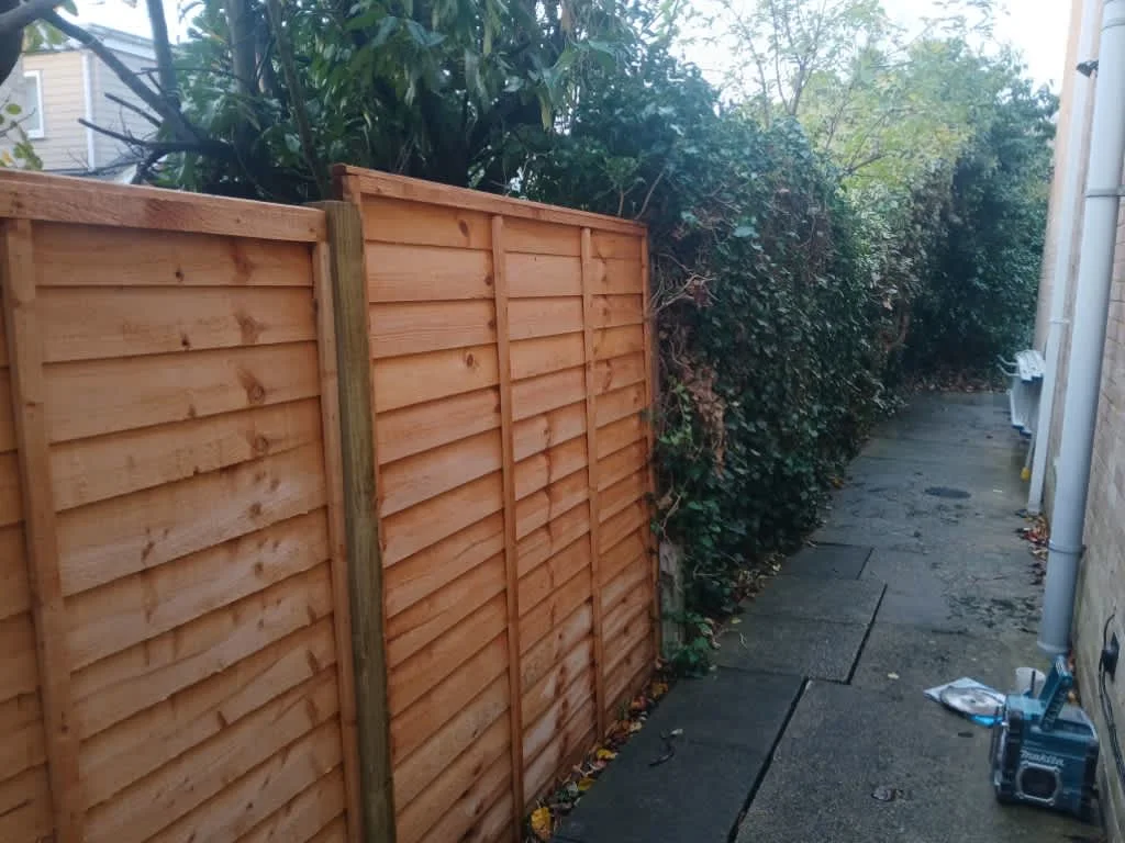 Images Rose Valley Landscapes