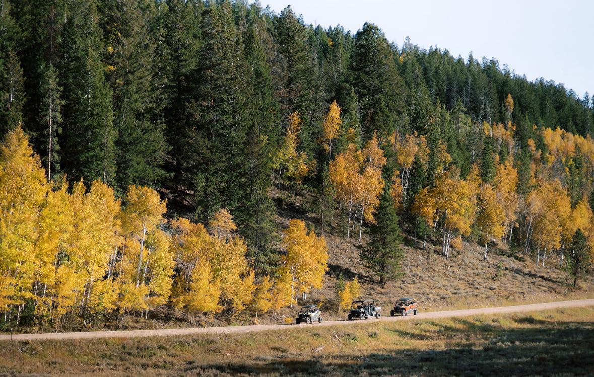 The Cabins at Bear River Lodge Image