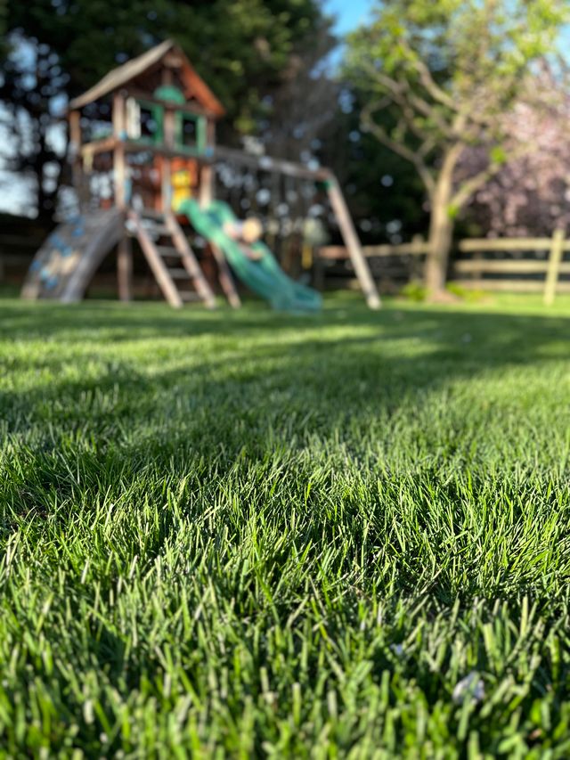 NaturaLawn of America Image