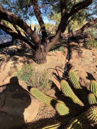 Images Cruz Landscaping
