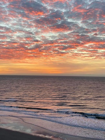 Images PMI Gulf Coast