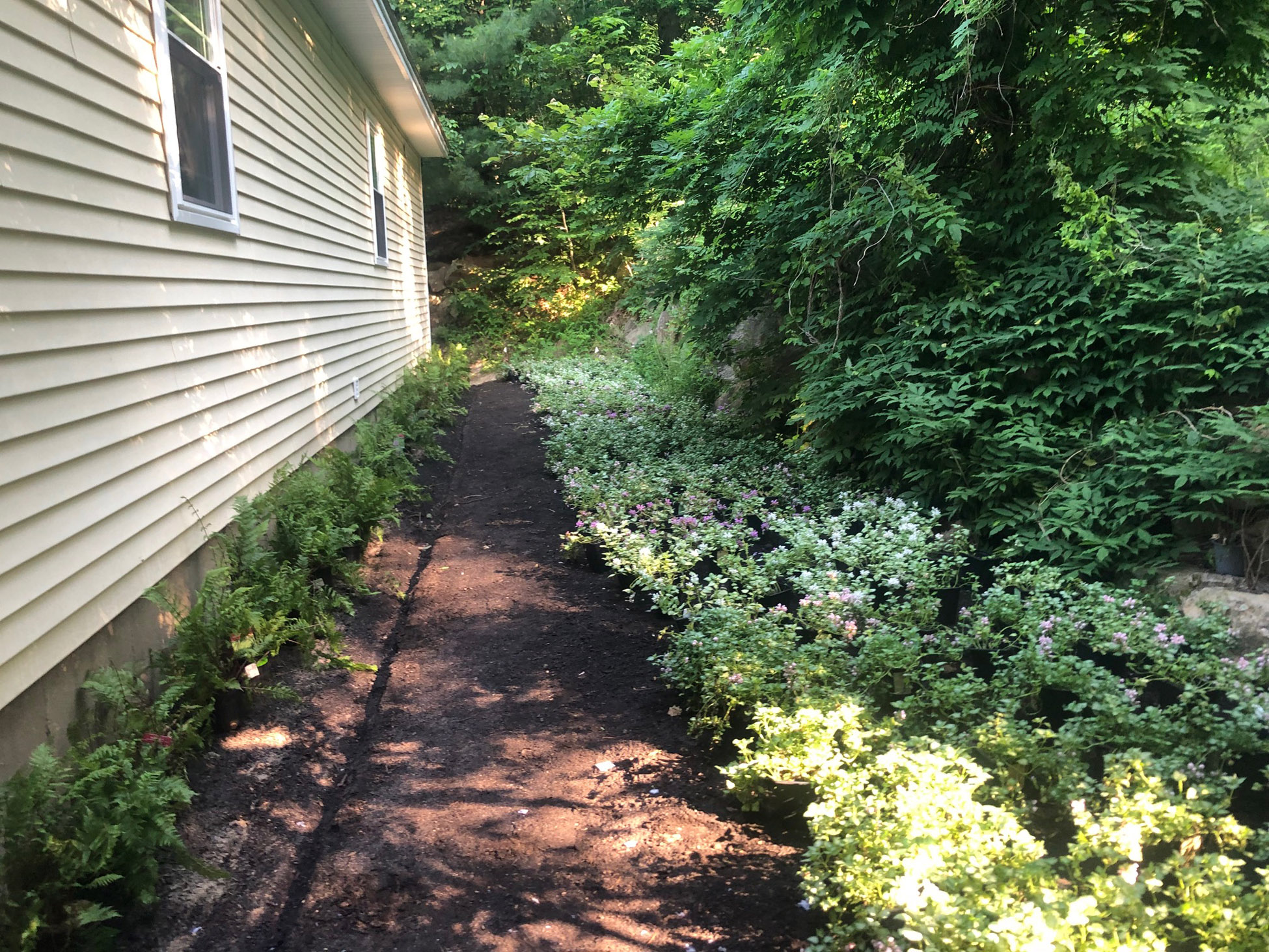 Greenleaf’s Garden Design Image