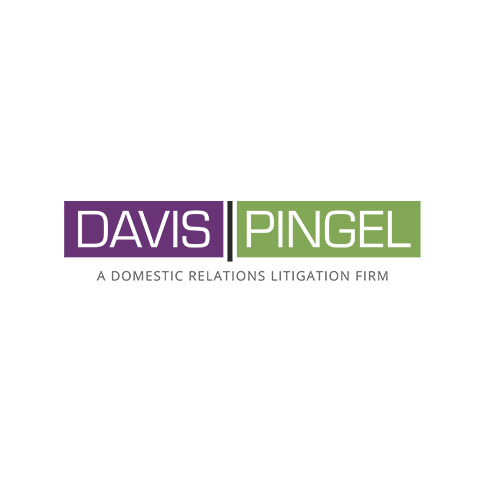 Davis  Pingel Logo