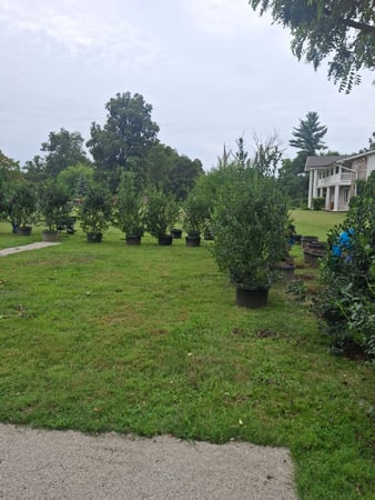 Images J&Z Robledo Landscaping LLC