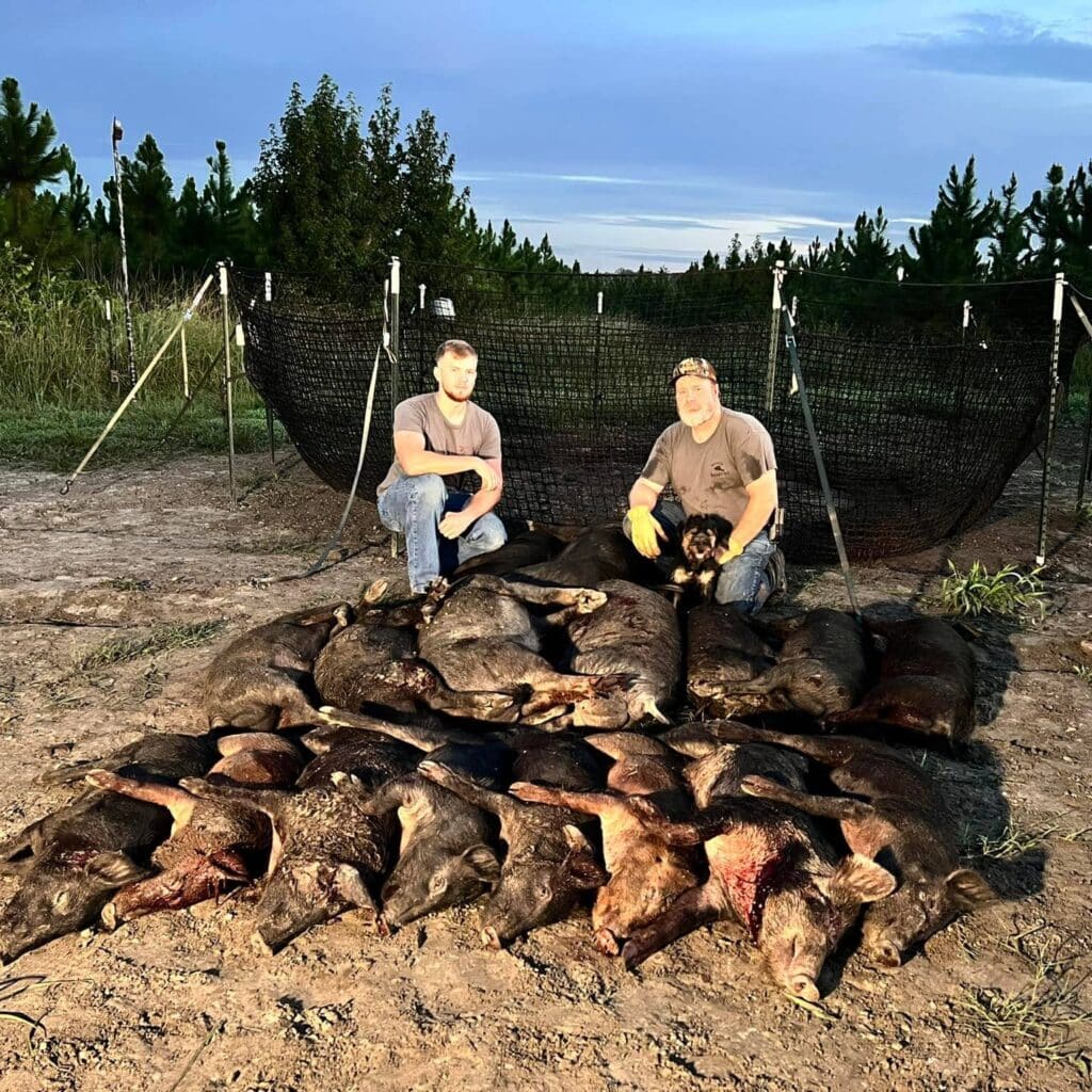 large wildlife management