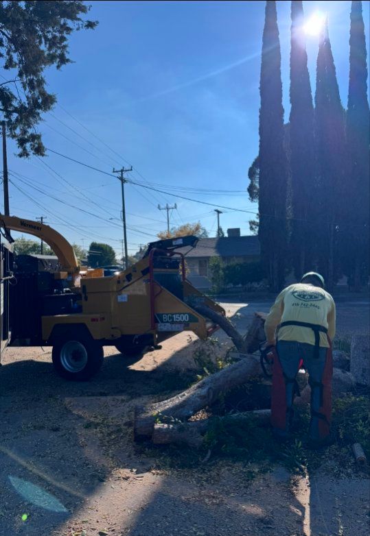 A tree service worker operates a chainsaw to cut a fallen trunk beside a wood chipper machine, with utility poles and tall trees visible under bright sunlight.