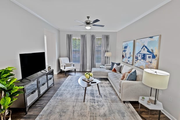 Images The Pointe at Suwanee Station