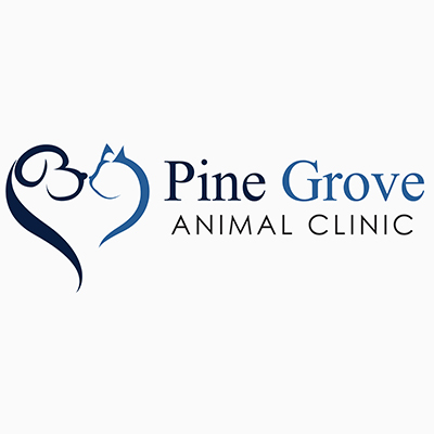 Pine Grove Animal Clinic