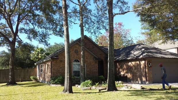 Images TNT Tree Service