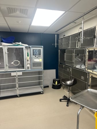 Images VCA Castle Shannon Animal Hospital