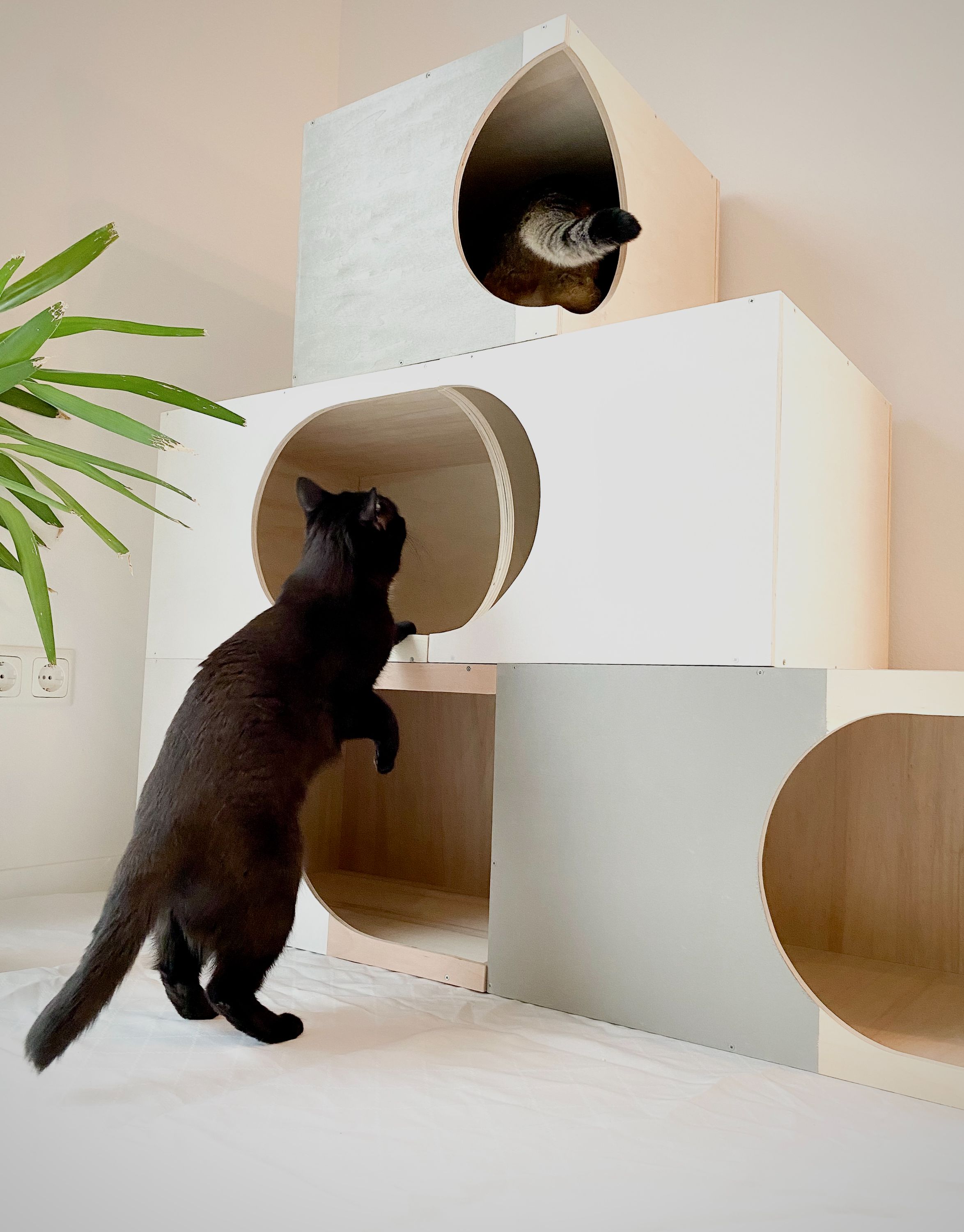 Wood-Kleintiermöbel by Julian Rumpel in Poppenhausen