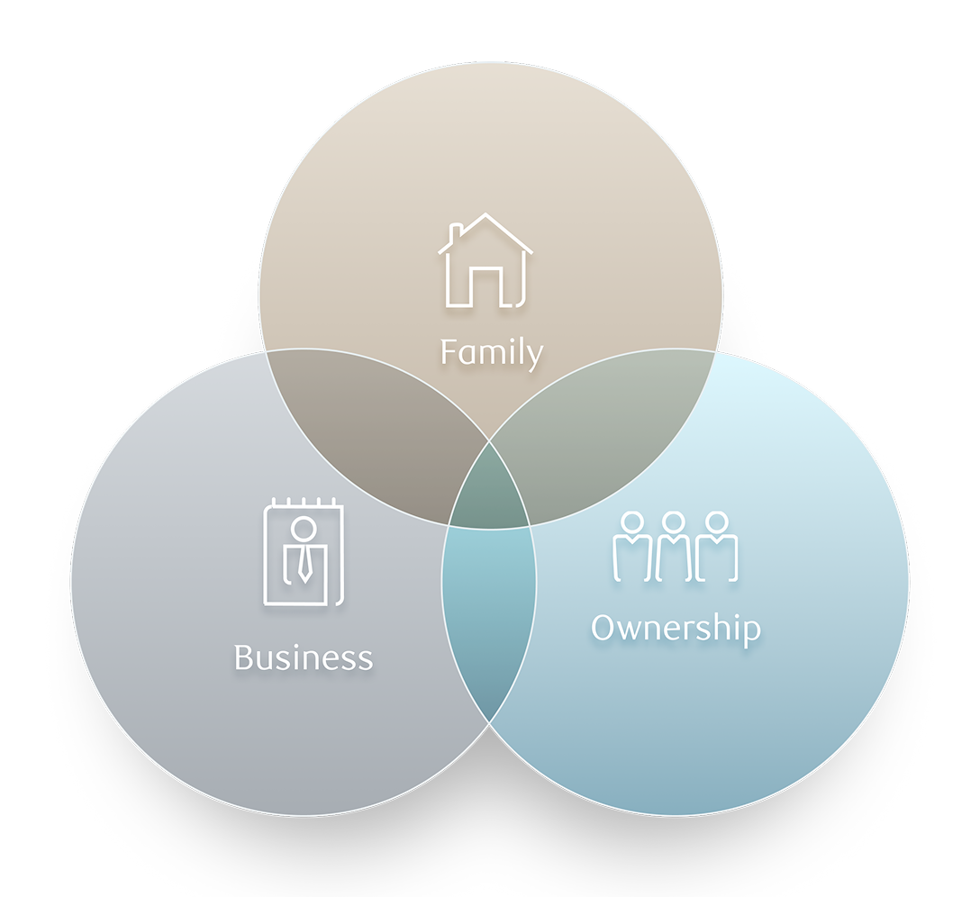 A three-circle Venn diagram with family, ownership, and business overlapping.