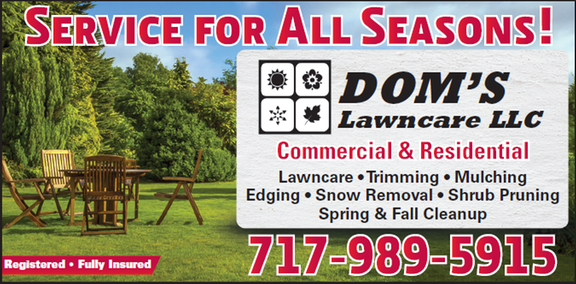 Images Dom's Lawncare LLC