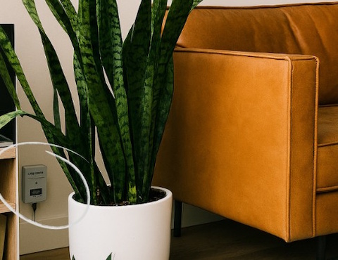 Damp Protection Ireland and UK 5