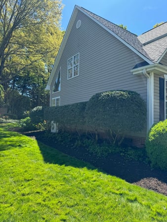 Images Beltran's Lawn Care, LLC