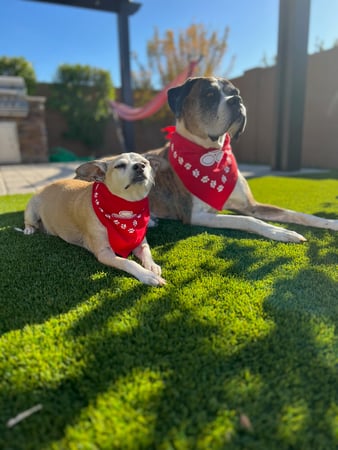 Images Aaron Kieselburg - State Farm Insurance Agent