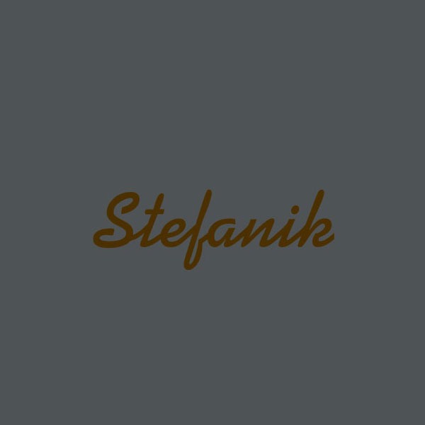 Logo von Stefanik Gesellschaft m b H