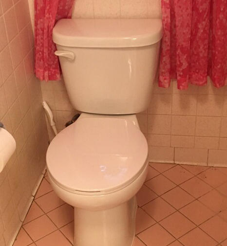 Tampa Plumbers - Toilet Repair