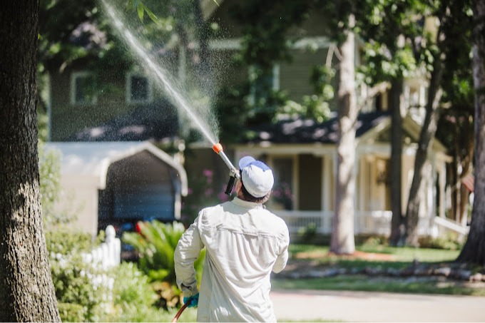 Images Critter Gitters Pest Management