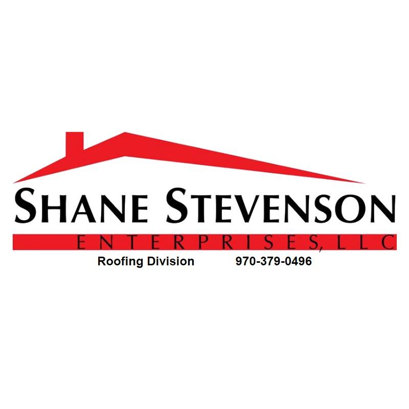 Shane Stevenson Enterprises LLC