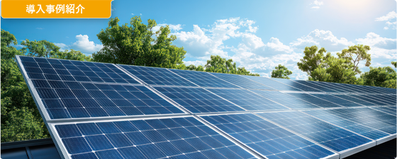 FIT/FIP管理システムを表す太陽光パネルの画像