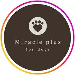Miracle Plus Logo