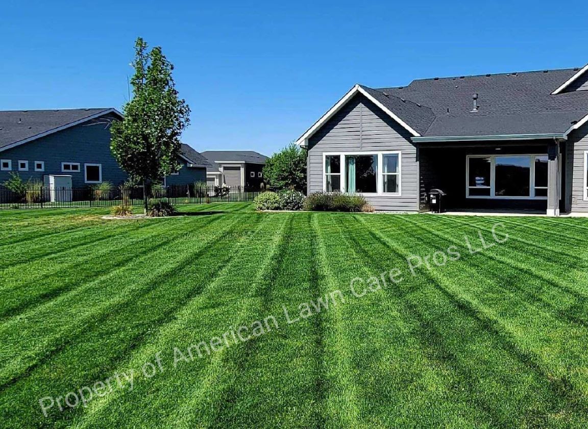 Image 4 | American Lawn Care Pros