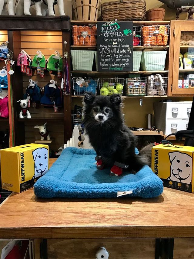 Wags Dog Emporium Photo