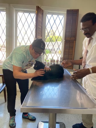 Images Melrose La Brea Animal Hospital