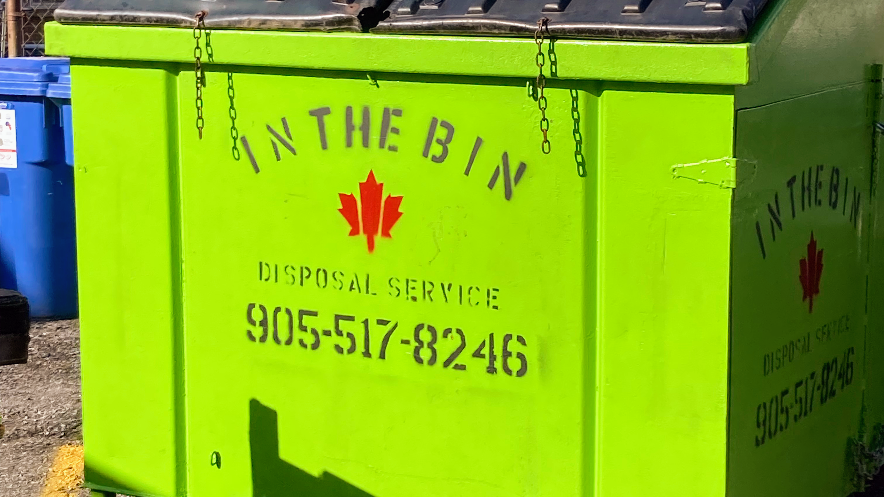 Images In the Bin