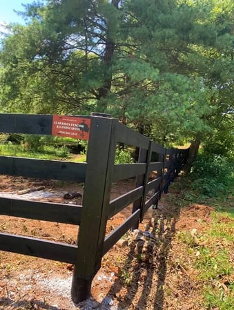 Images Alabama's Fencing